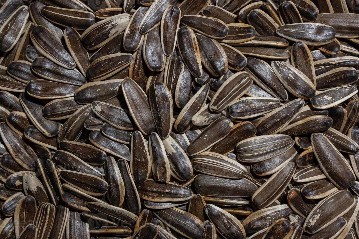 Non Salty Roasted Sunflower Seeds in Shell. A Culinary Canvas of Sunflower Kernels, Creating a Lively and Textured Background for Gourmet Cooking. Scattered Sun Flower Seeds - Top View, Flat Lay photo