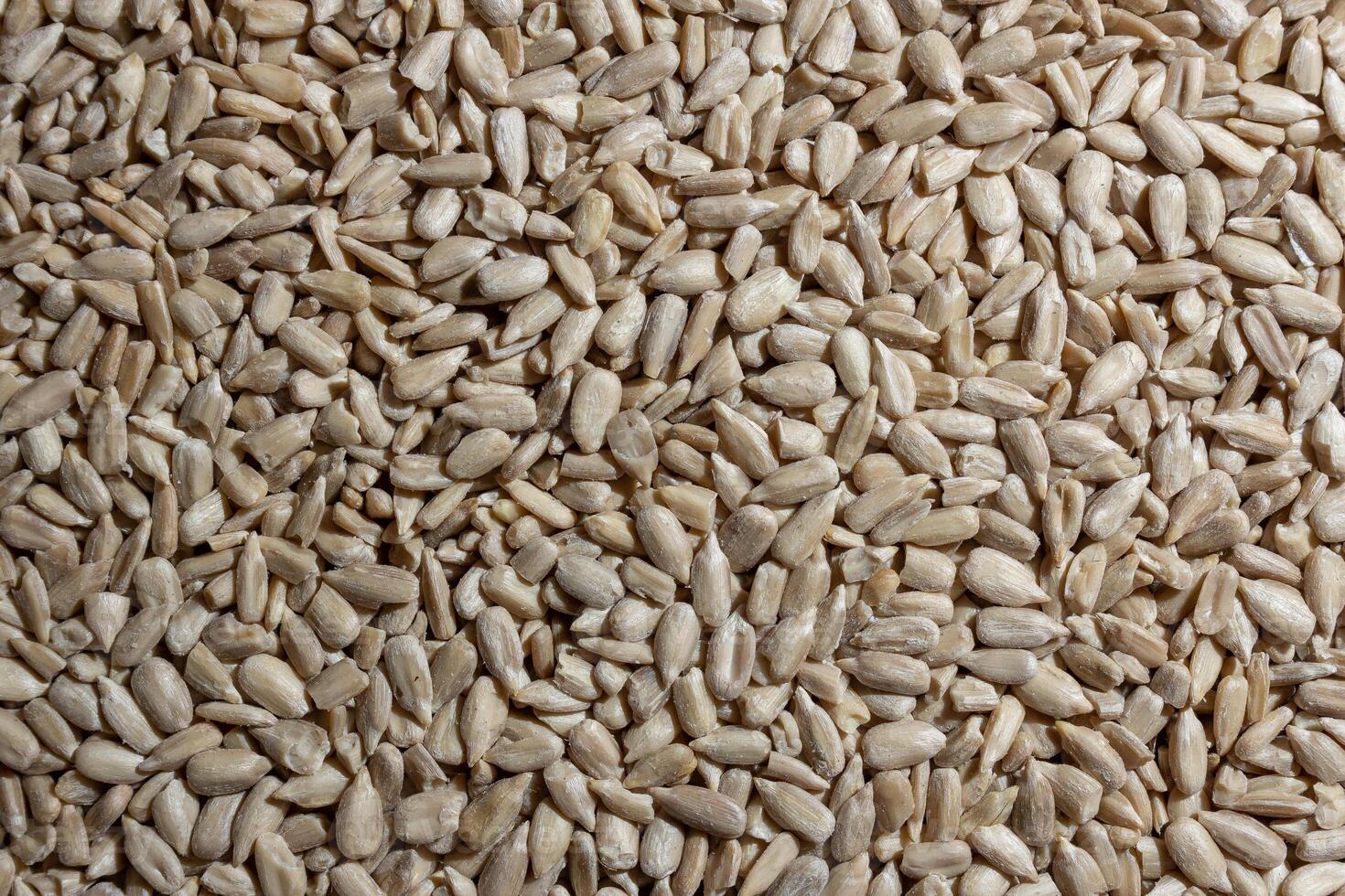 Peeled Sunflower Seeds Background. A Culinary Canvas of Shell-free Sunflower Seeds, Creating a Lively and Textured Background for Gourmet Cooking - Top View, Flat Lay photo