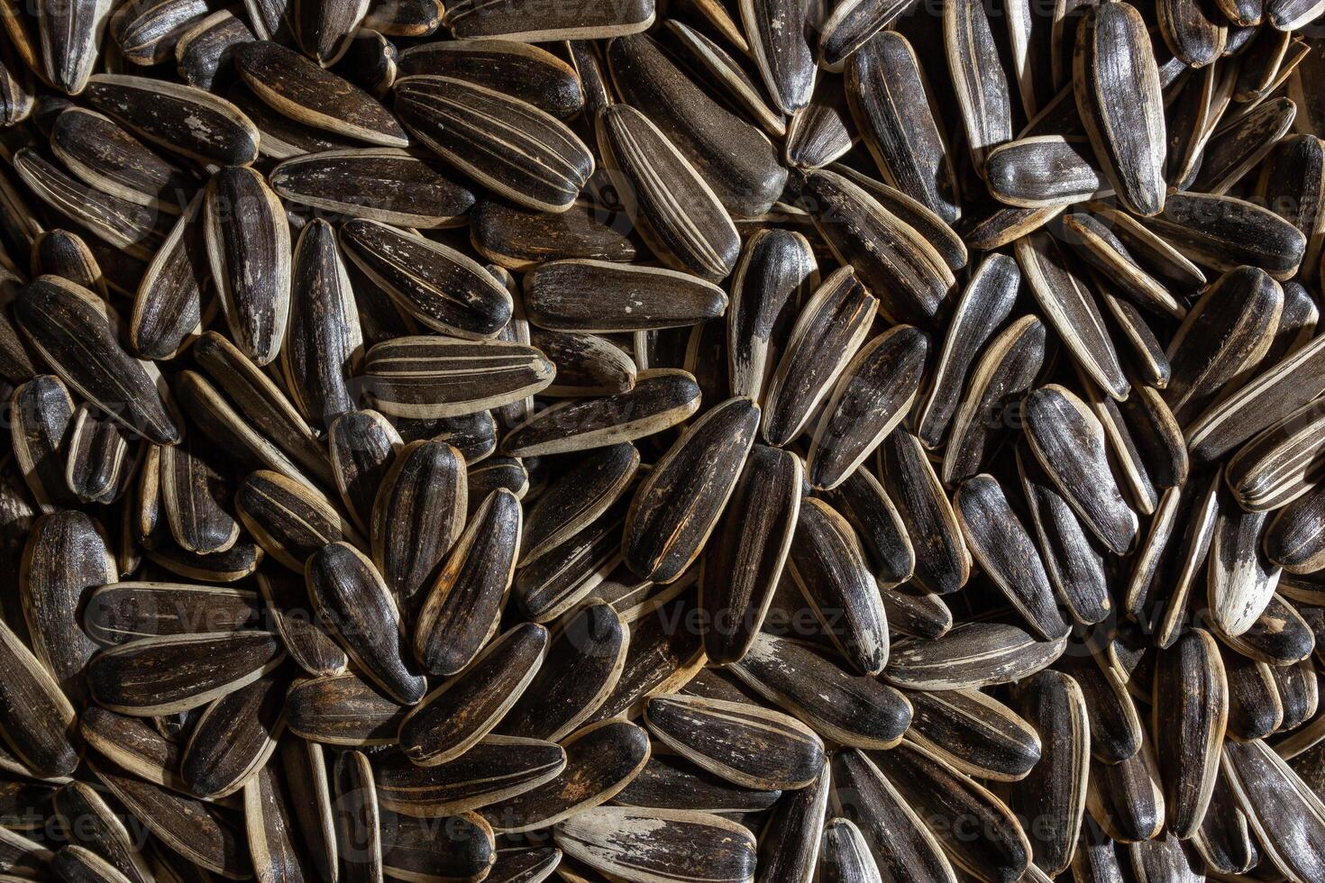 Non Salty Roasted Sunflower Seeds in Shell. A Culinary Canvas of Sunflower Kernels, Creating a Lively and Textured Background for Gourmet Cooking. Scattered Sun Flower Seeds - Top View, Flat Lay photo