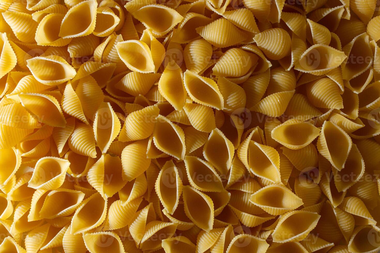 Uncooked Conchiglie Pasta. A Culinary Canvas of Conchiglie Macaroni, Creating a Lively and Textured Background for Gourmet Cooking. Dry Pasta. Raw Macaroni - Top View, Flat Lay photo