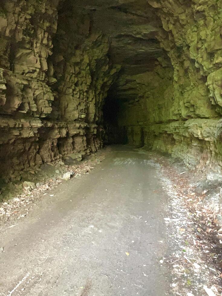 bicycle, touring, camping, bike path, river, tunnel, bridge, tent photo