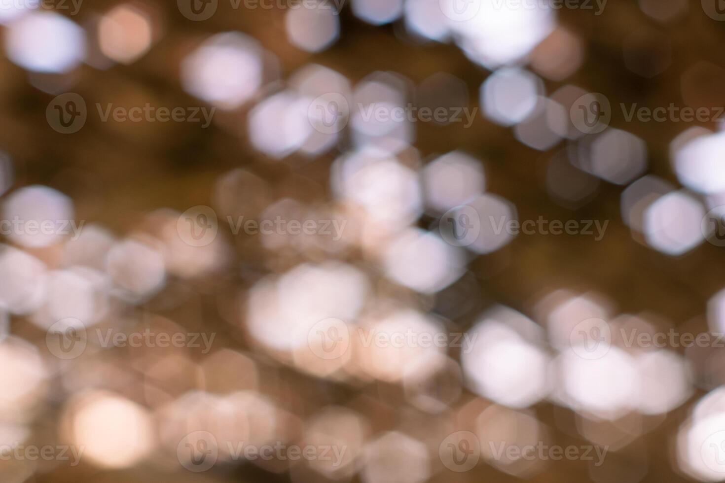 Bokeh of light streaming through an bamboo and banana leaf roof out of focus photo