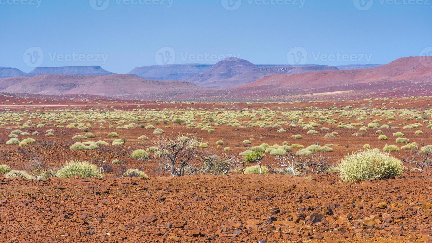 Scenic view of the Palmwag Concession Area in Namibia. photo