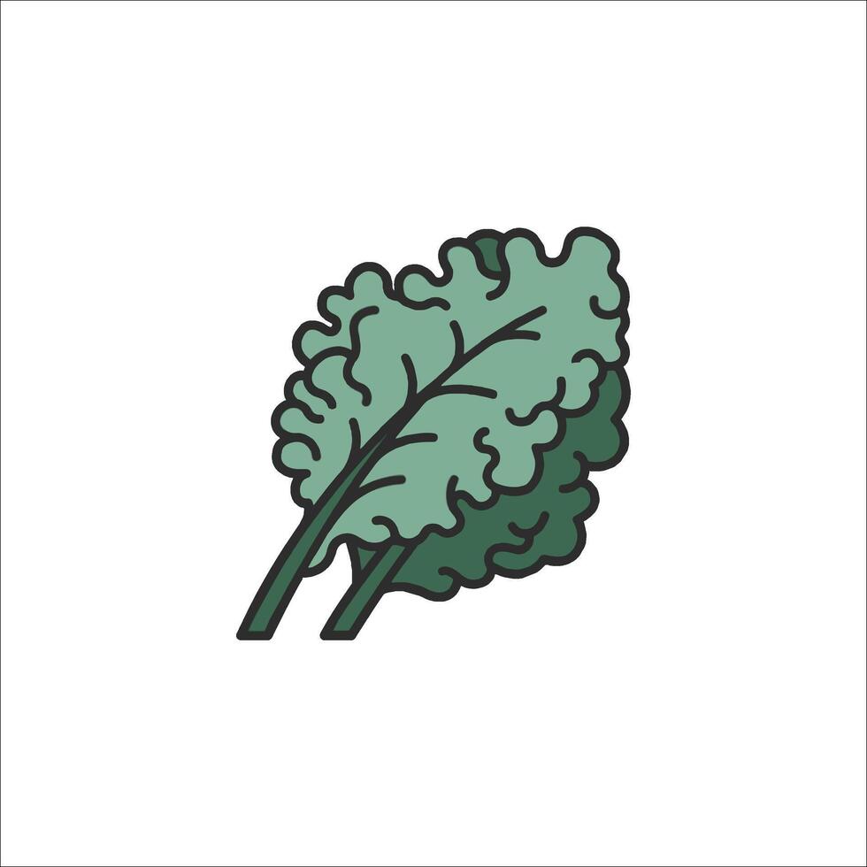 Kale leaf icon illustration vector