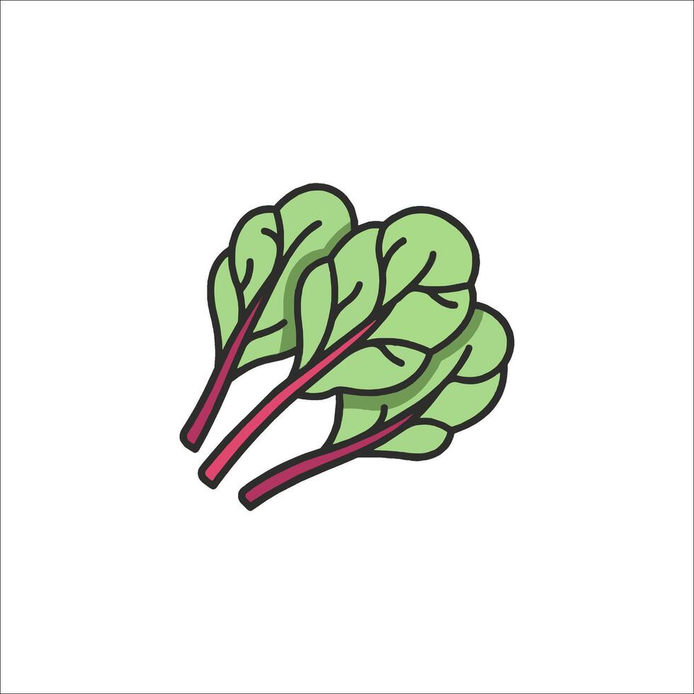 A green leafy vegetable icon vector