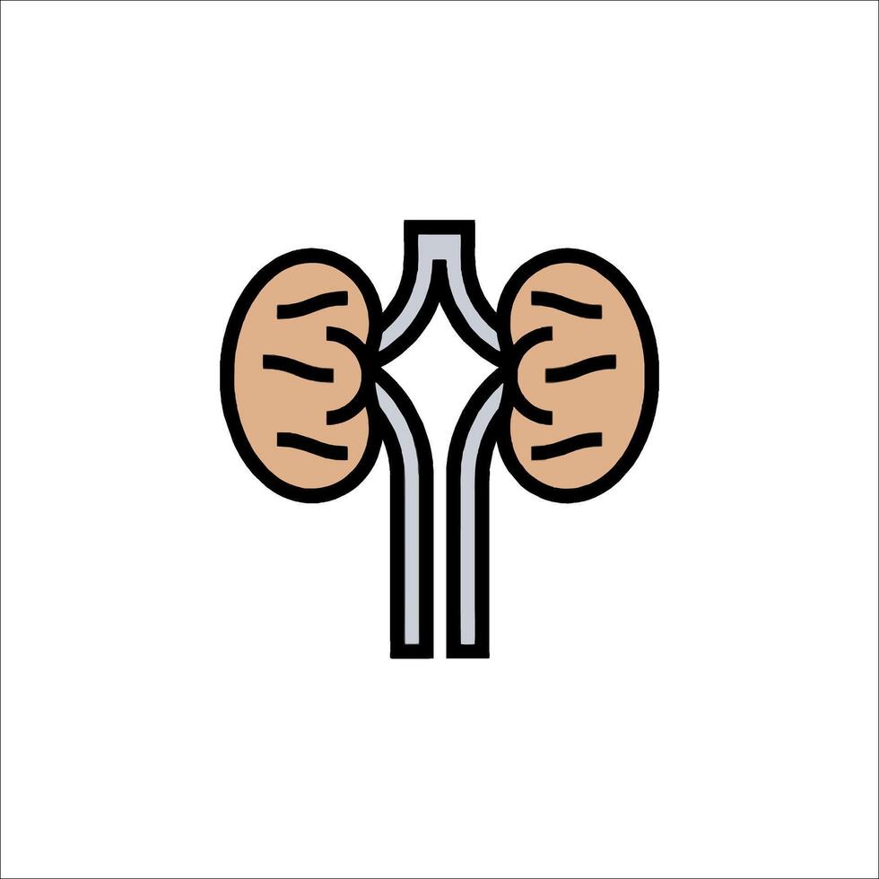 A kidney icon on a white background vector
