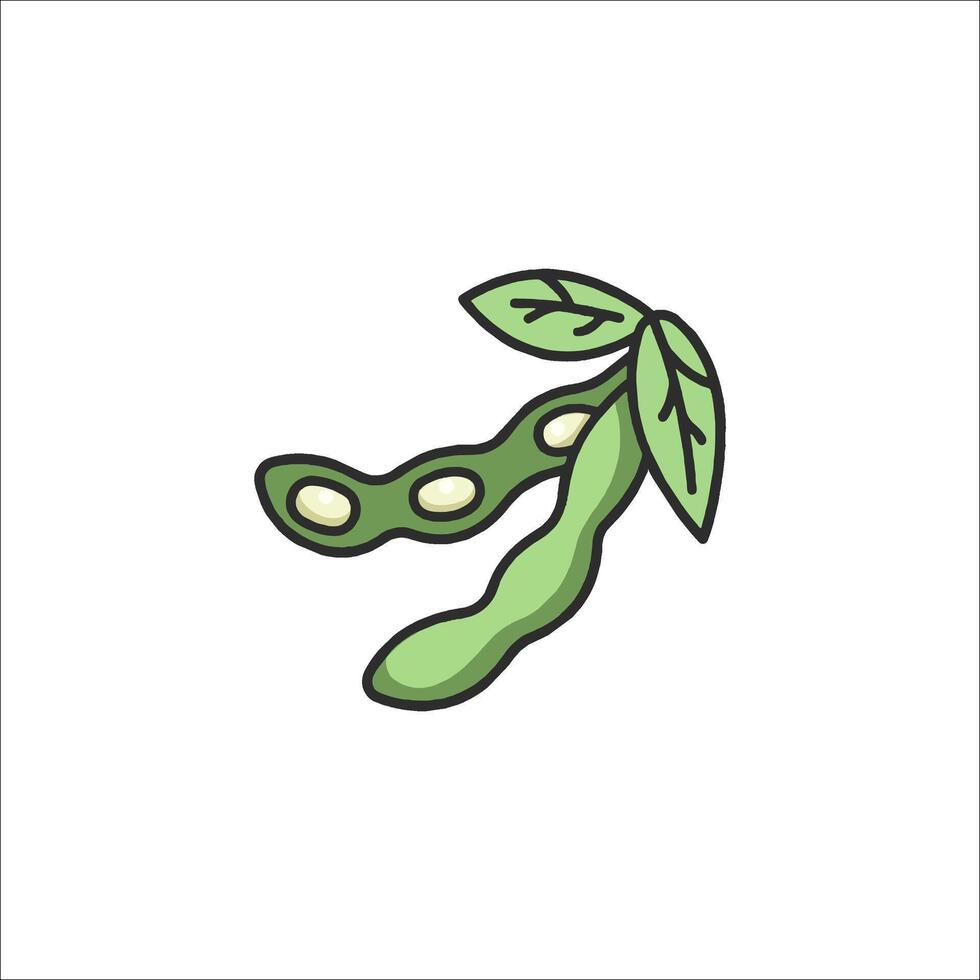 A green bean pod with leaves on it vector