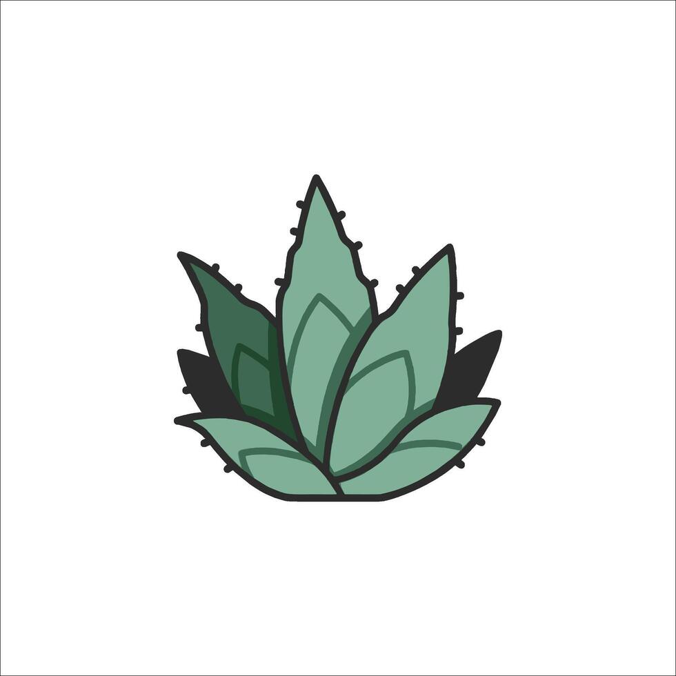 An illustration of an aloe plant vector