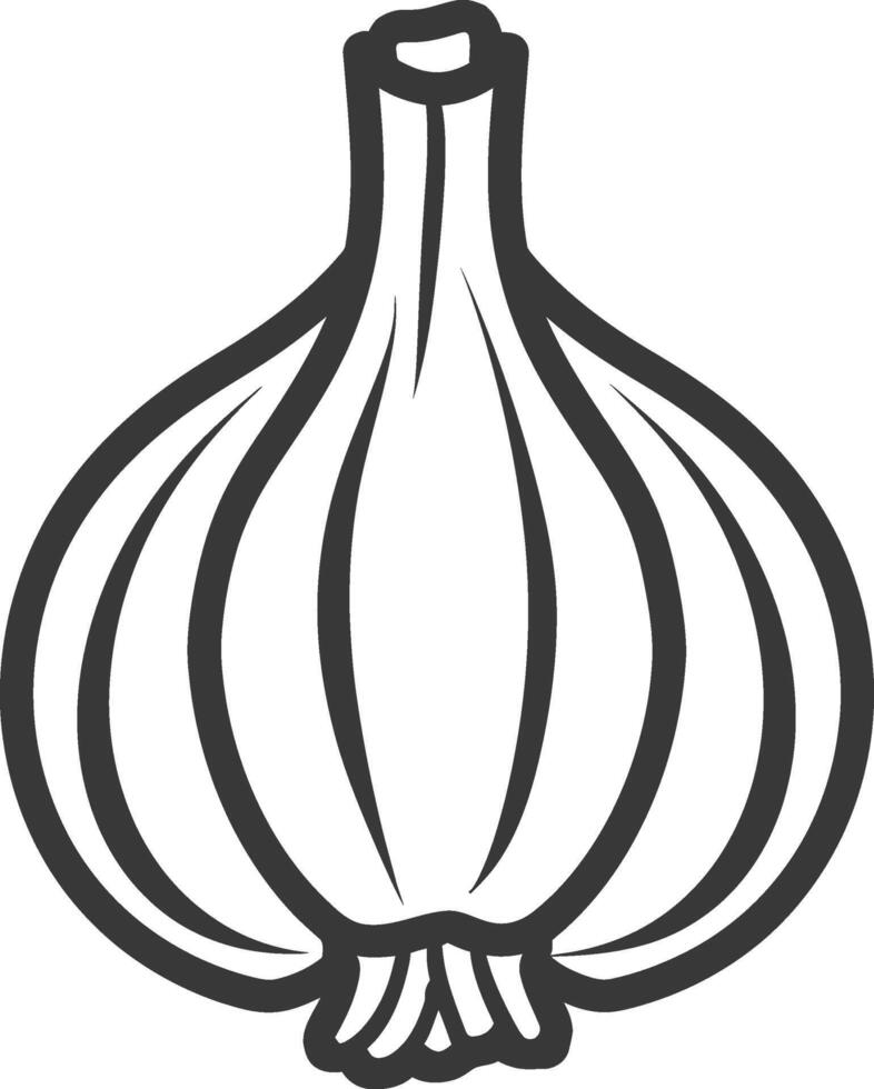 A garlic bulb is shown in a black and white drawing vector