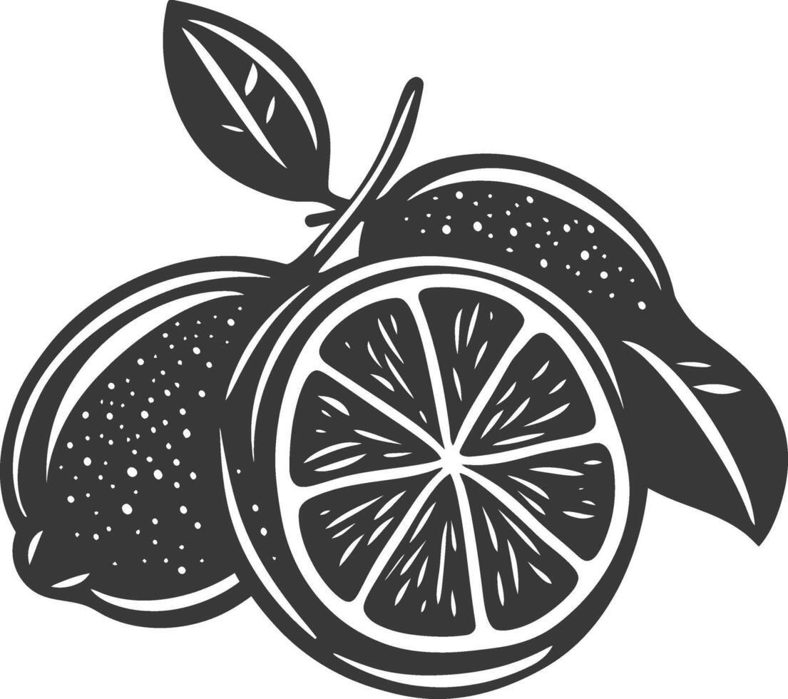 A black and white illustration of a lemon vector