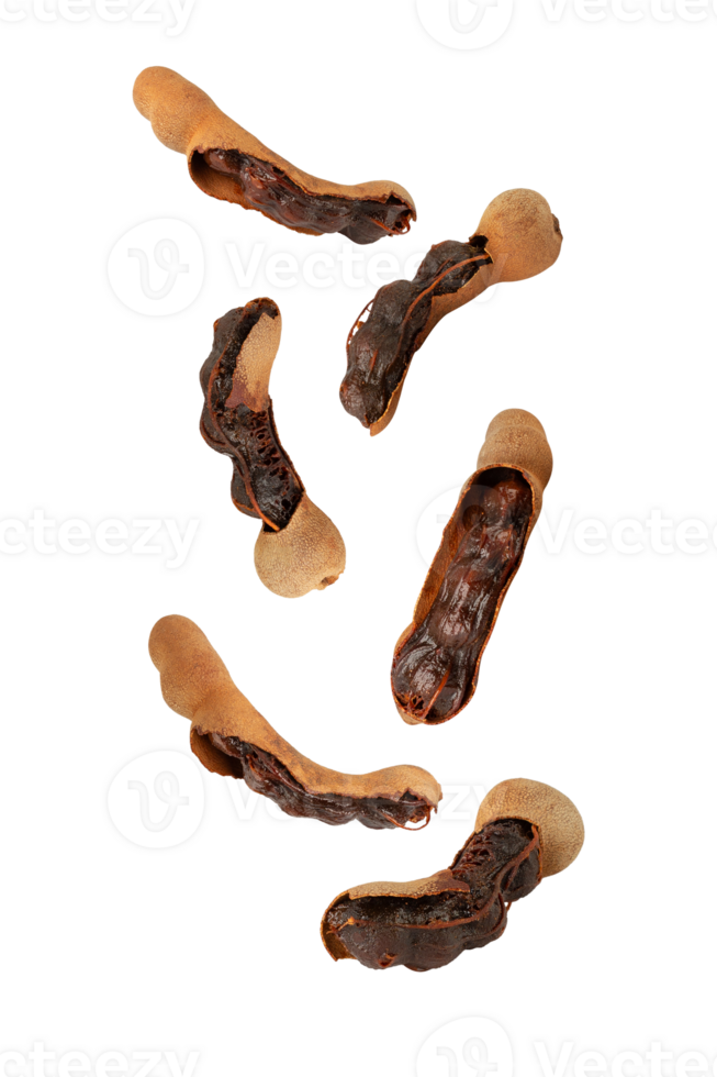 Falling Sweet Tamarind, cutout, full depth of field png