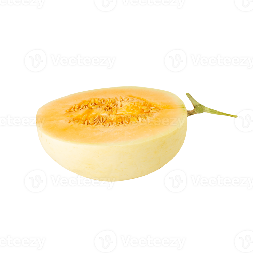 Cantaloupe half cutout, full depth of field png