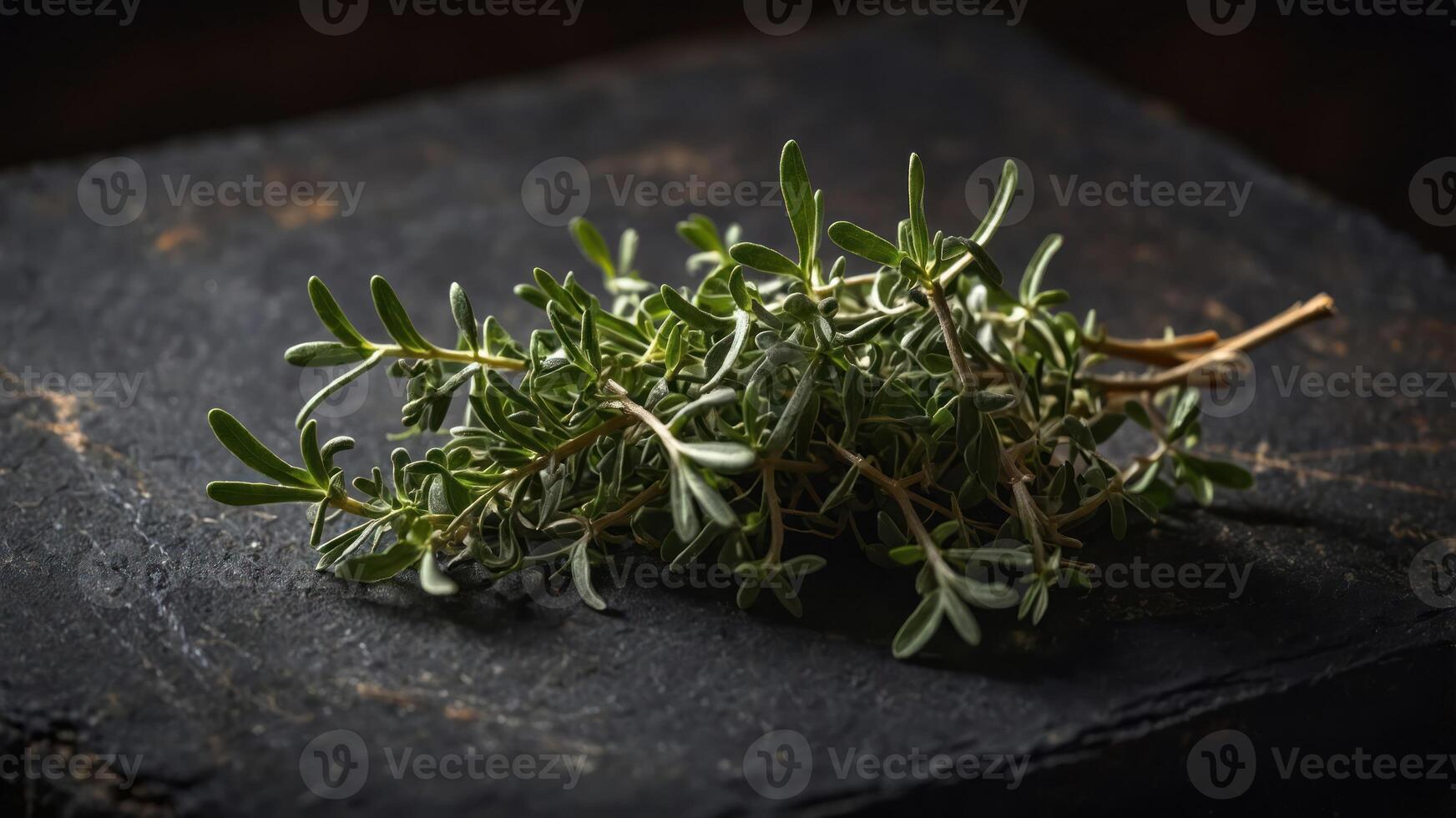 A sprig of fresh thyme resting on a dark surface, highlighting its culinary use. photo
