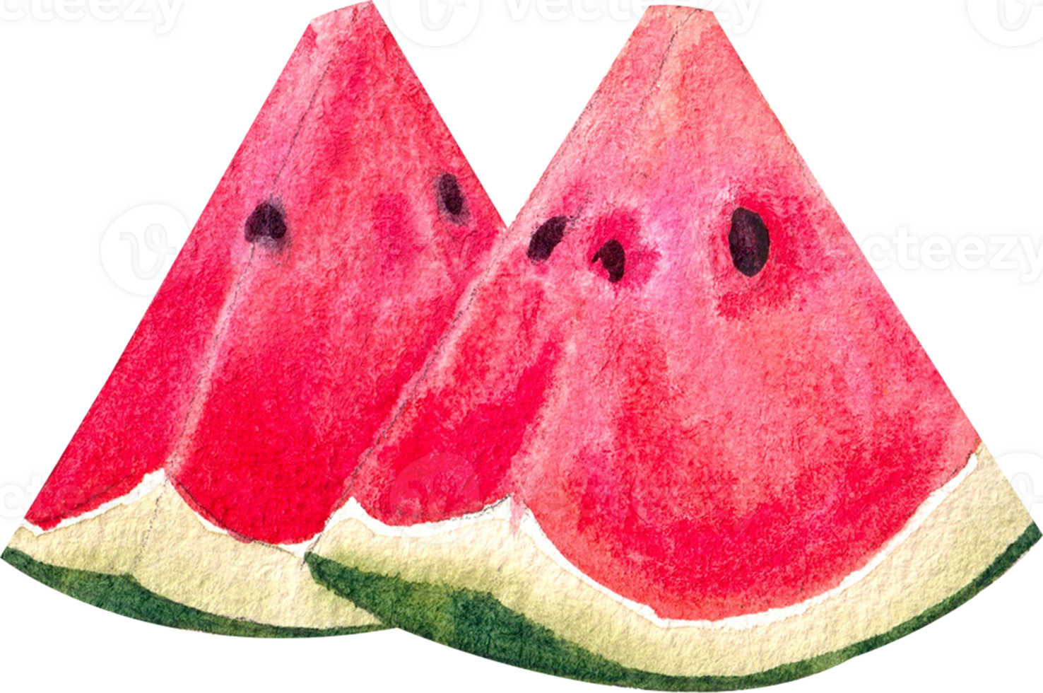 Hand-painted watercolor illustration of a watermelon. png