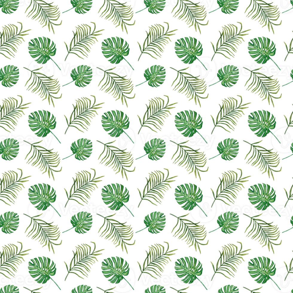 Seamless pattern of monstera and palm leaves with a summer vibe. png