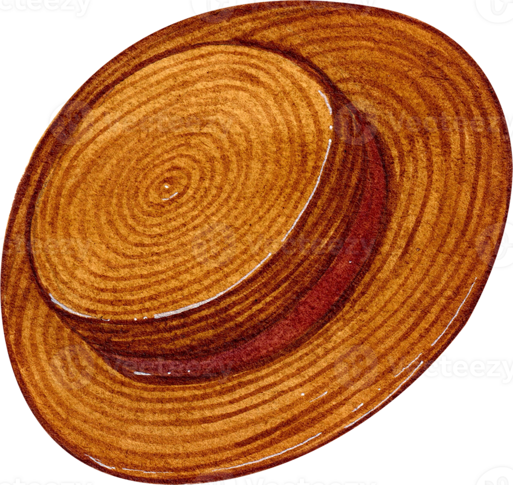 Hand-painted watercolor illustration of Brown boater hat, Summer Outfit png