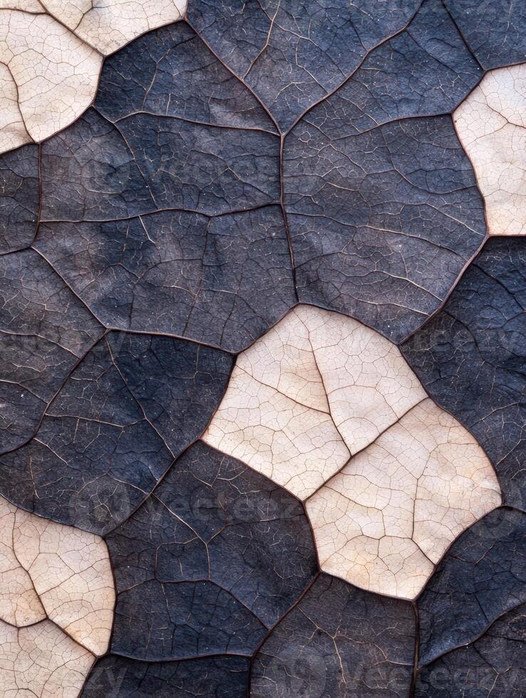 Cracked and weathered leaf texture photo