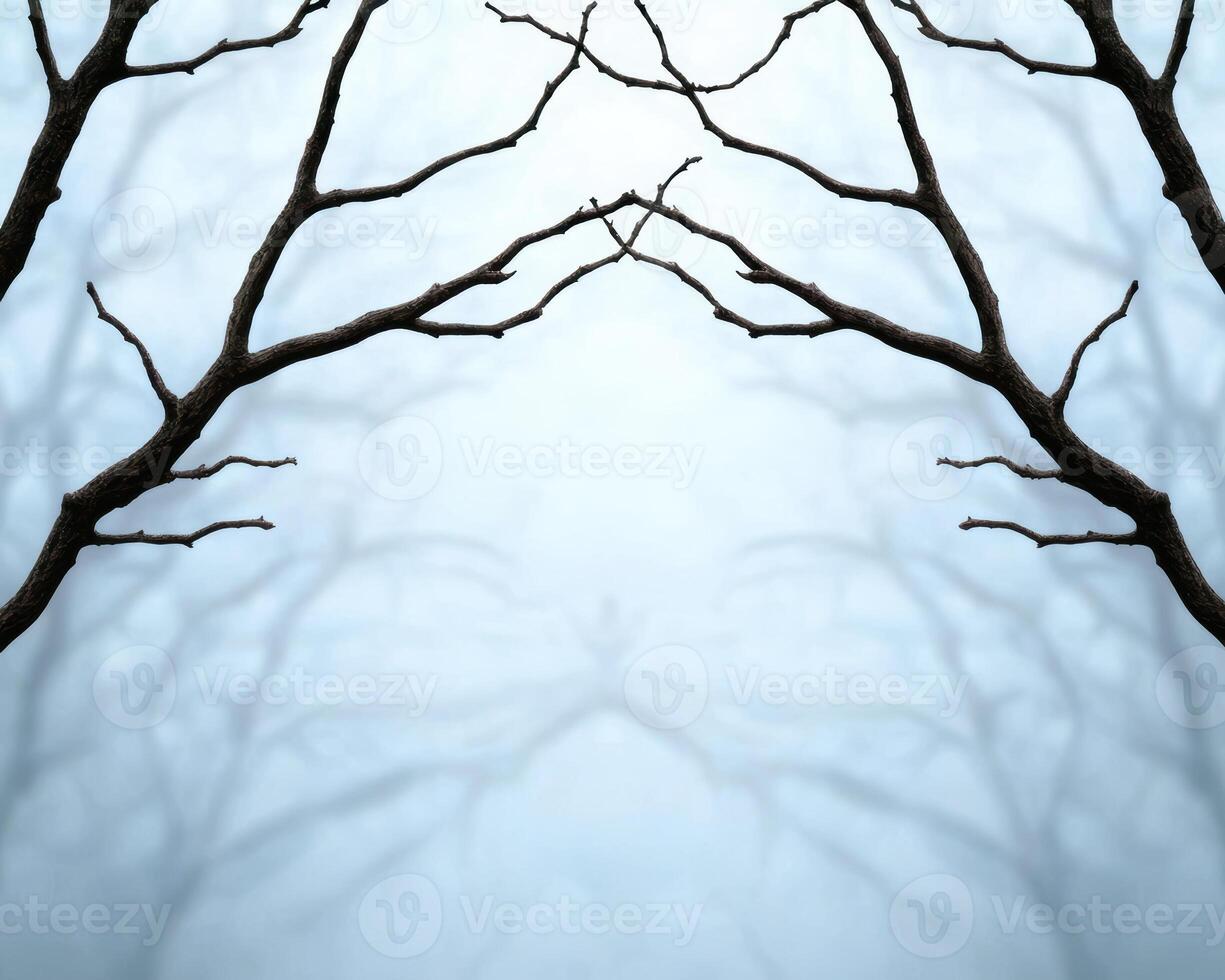 Bare tree branches reaching towards the sky photo