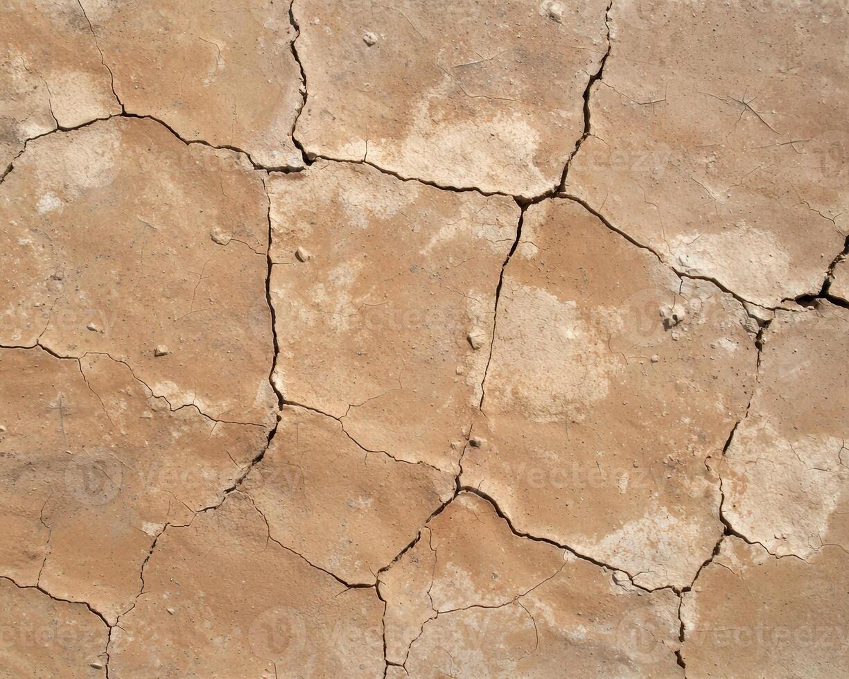 Cracked earth texture background photo