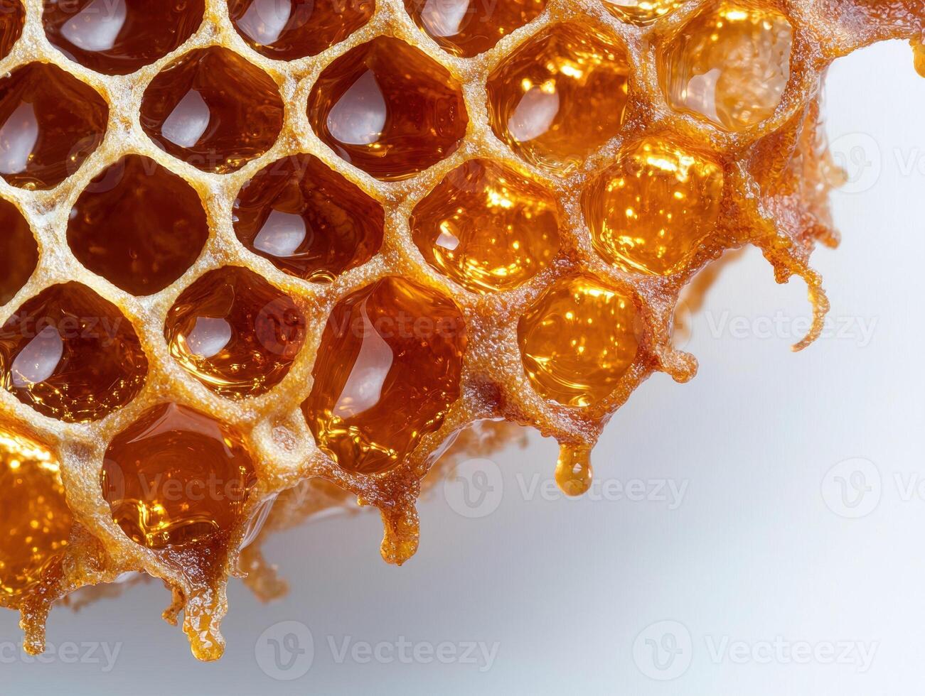 Closeup view of honeycomb with golden honey dripping photo