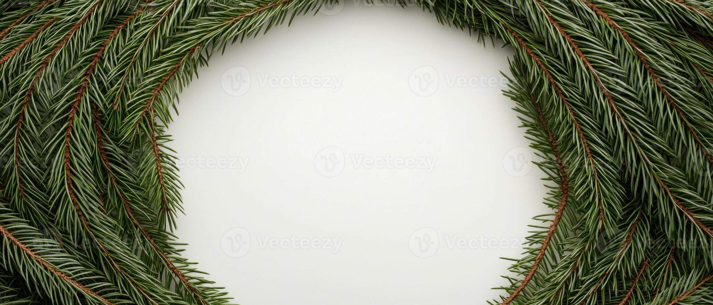 Festive evergreen pine tree branches frame photo