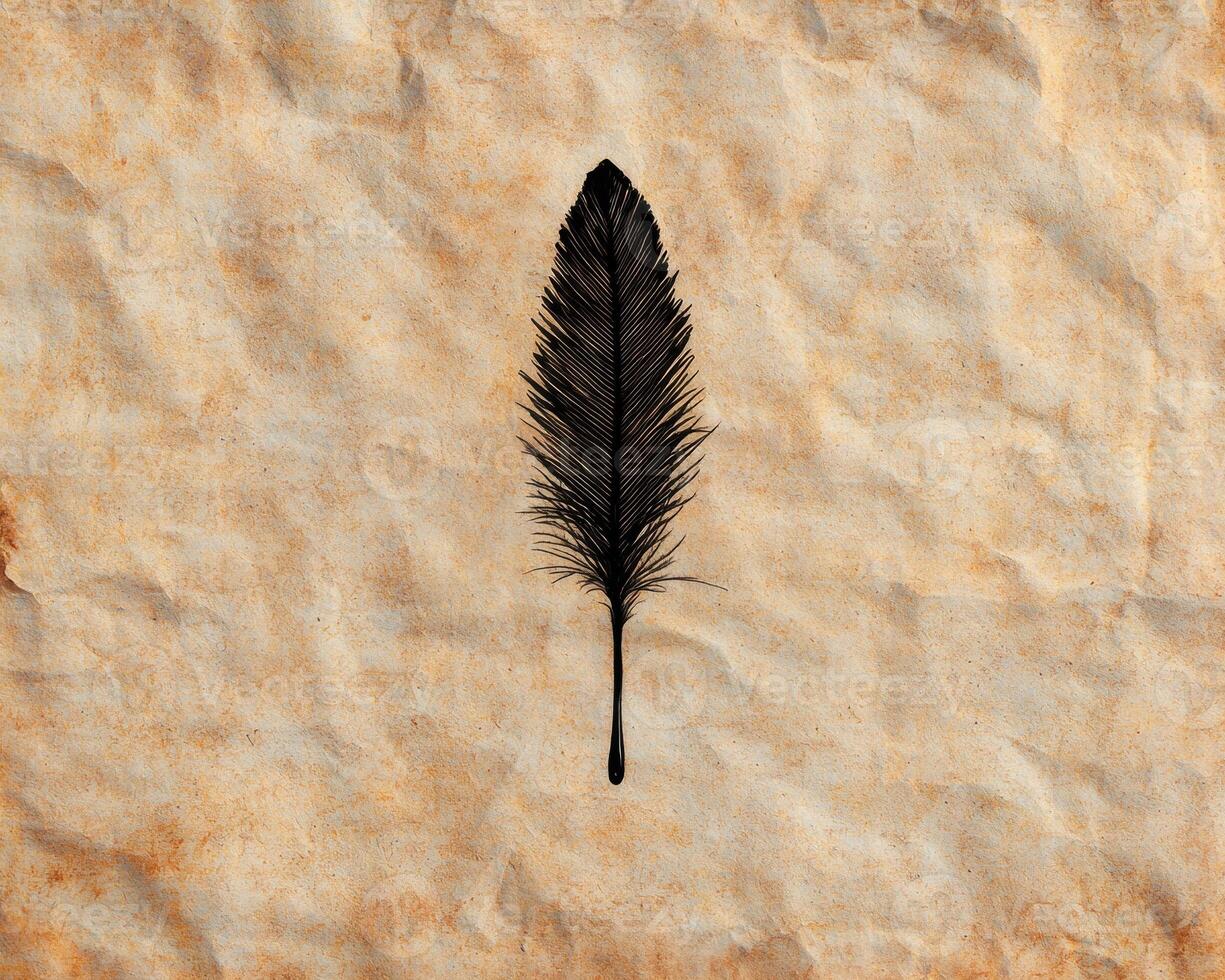 Solitary black feather on textured background photo