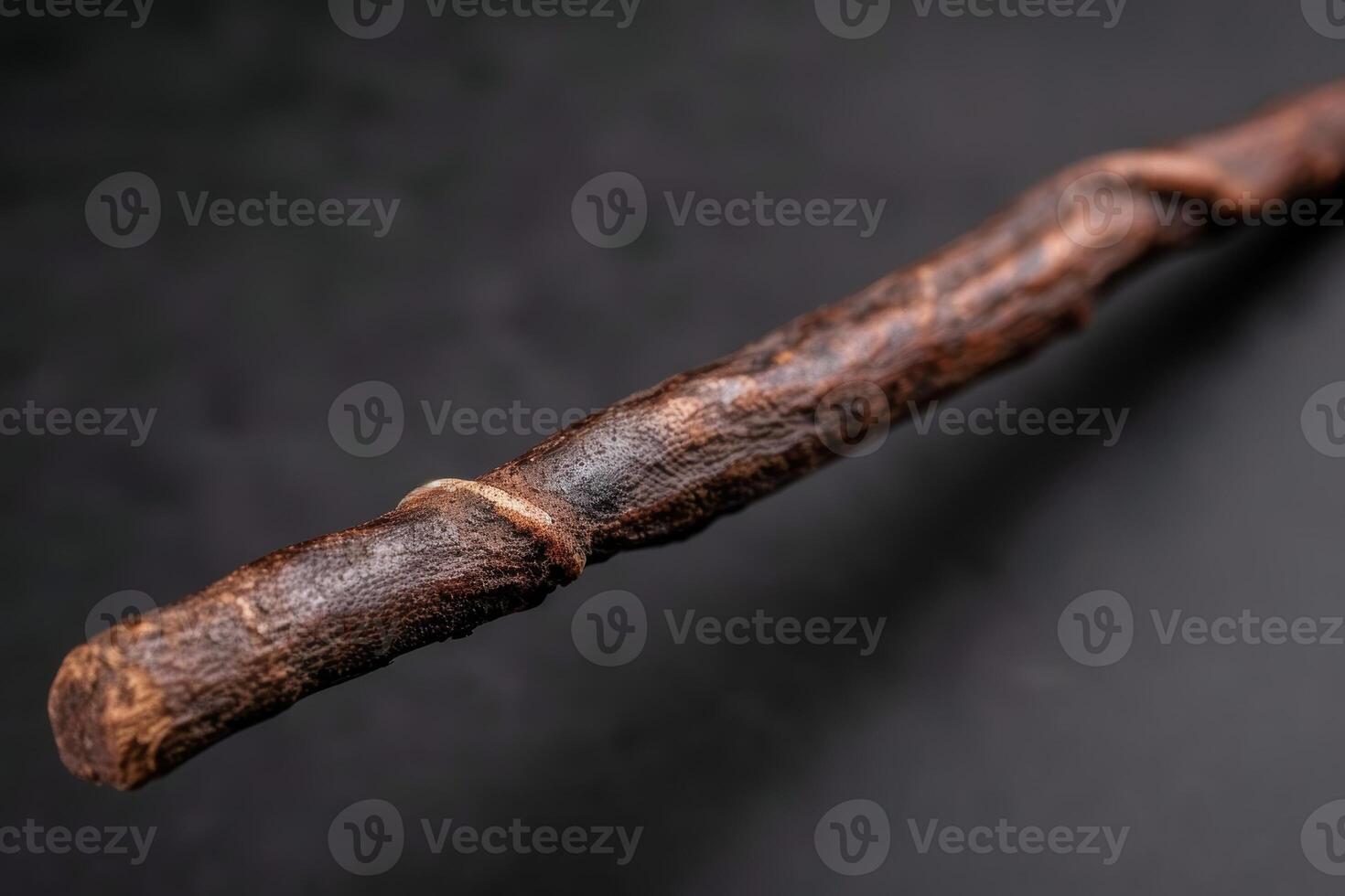 Closeup of a weathered wooden stick or branch photo
