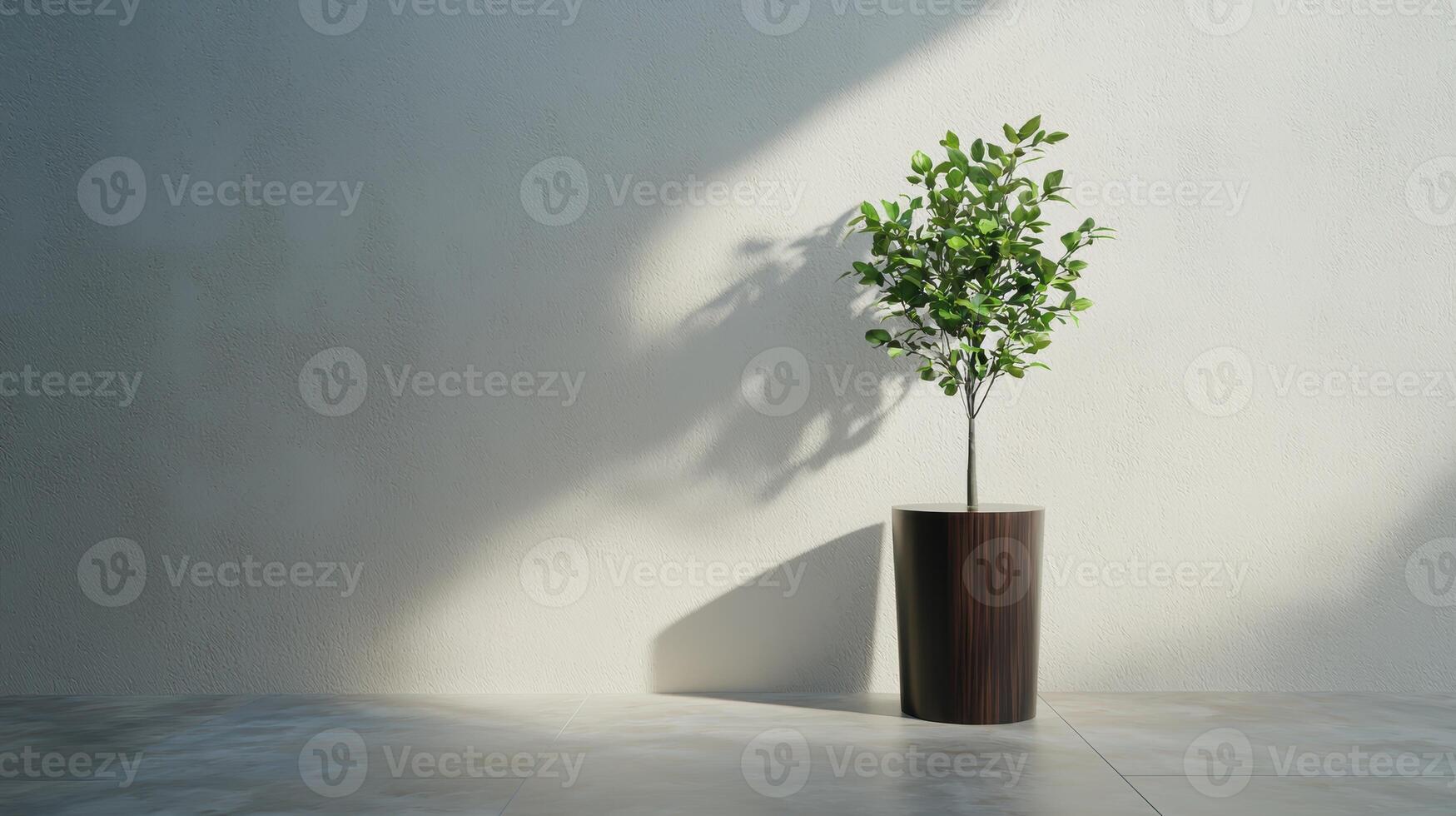 Potted plant with green leaves in minimalist interior photo