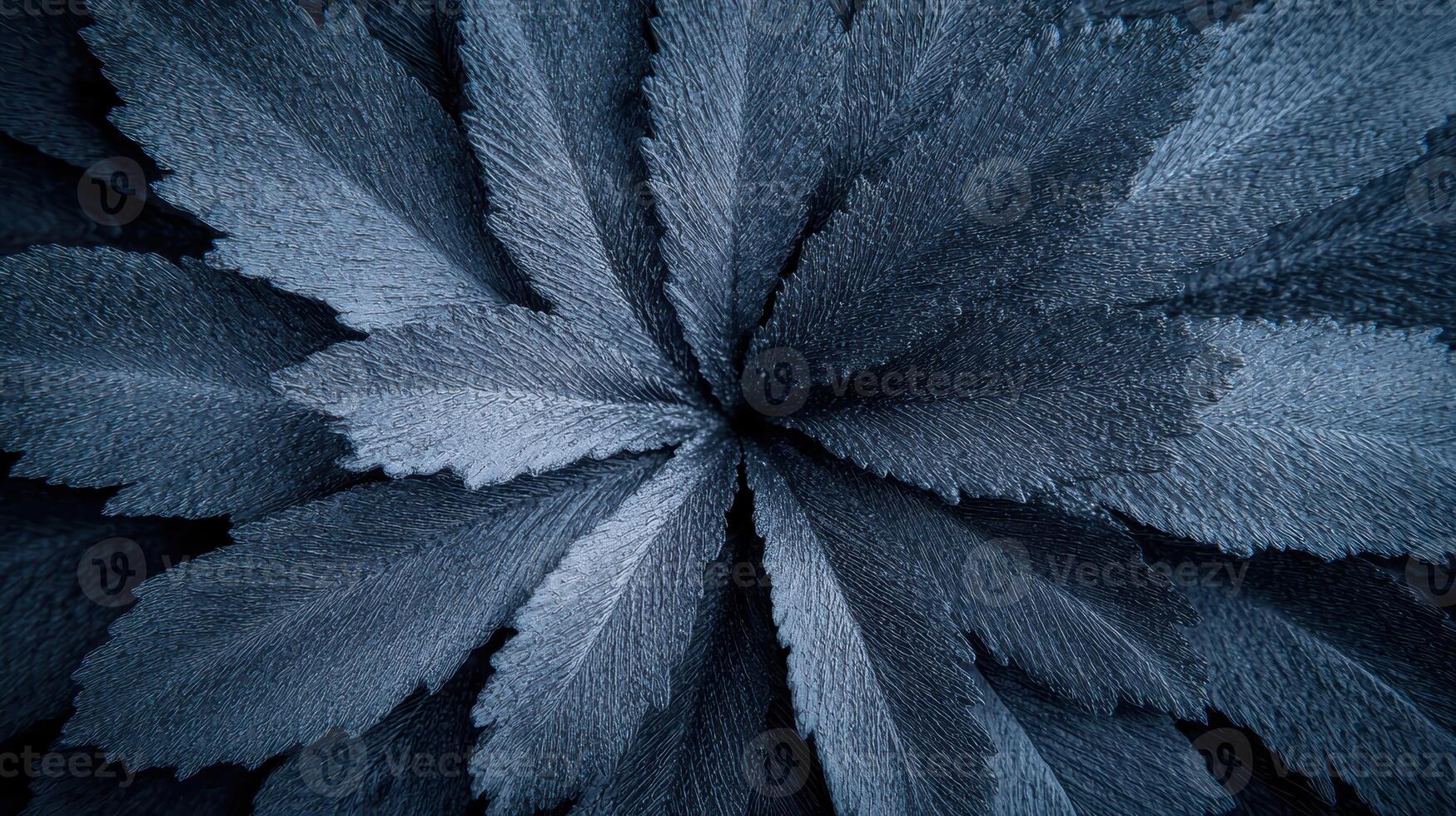 Intricate abstract feather like pattern in shades of blue photo