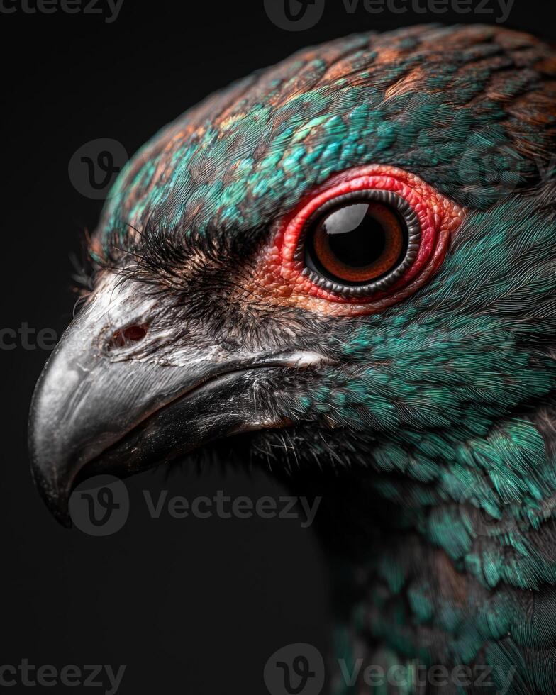 Vibrant Feathers and Piercing Eyes of a Majestic Bird photo