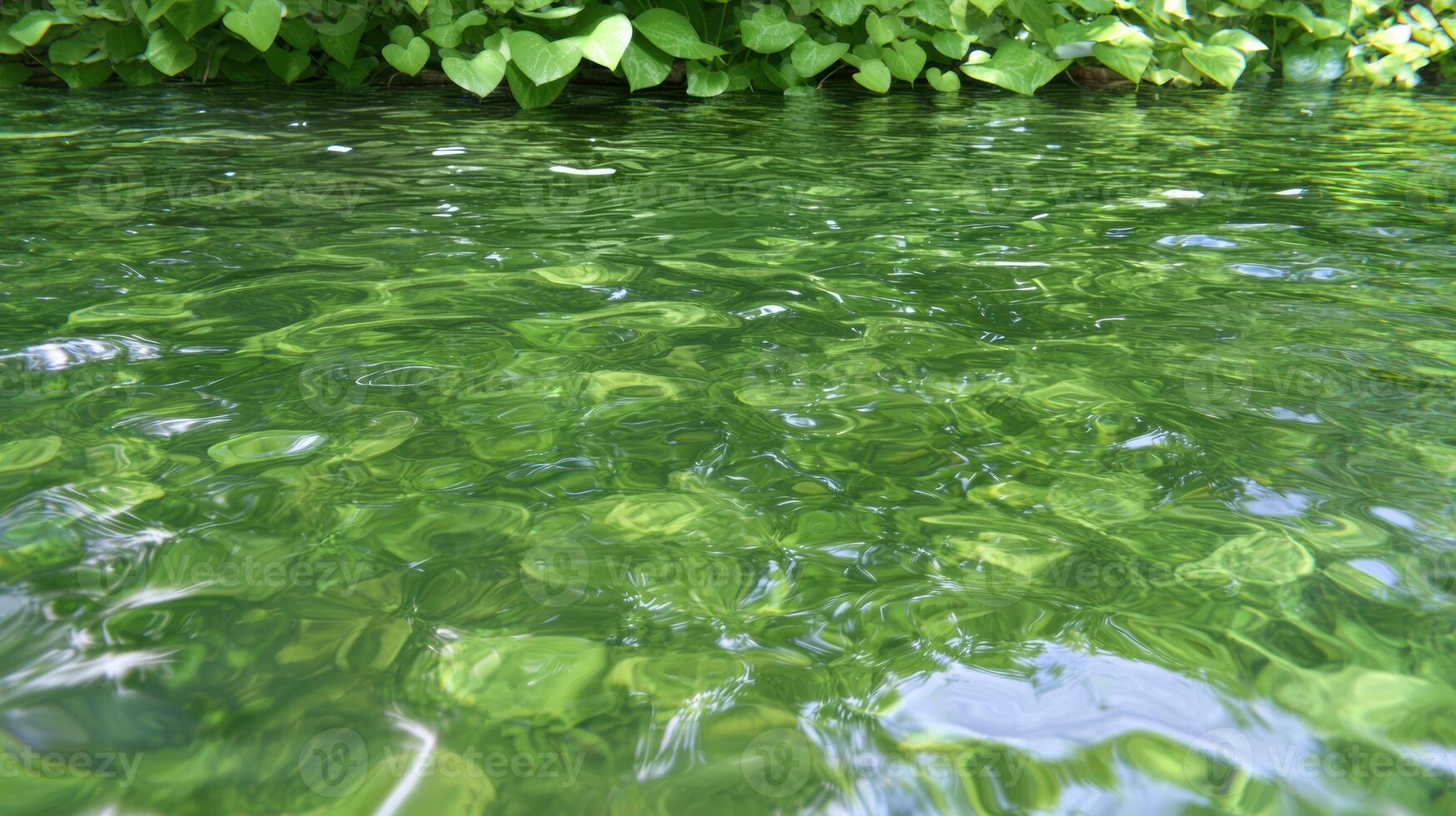 Tranquil green pond with lush foliage photo