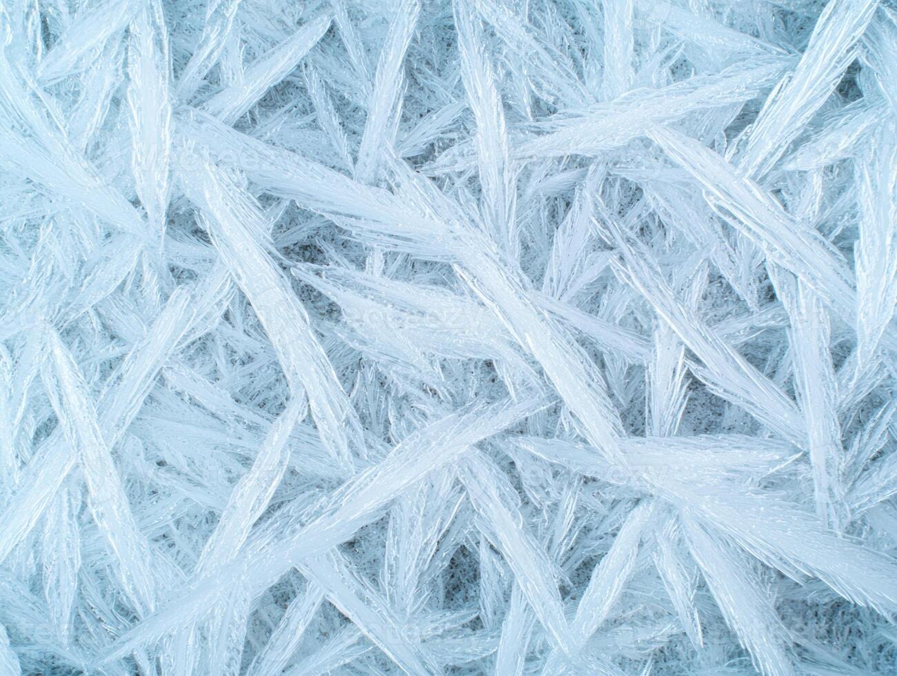Intricate ice crystal patterns photo