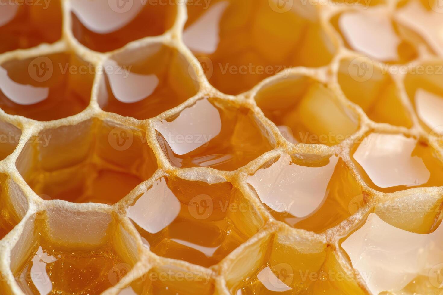 Closeup of honeycomb structure filled with golden honey photo