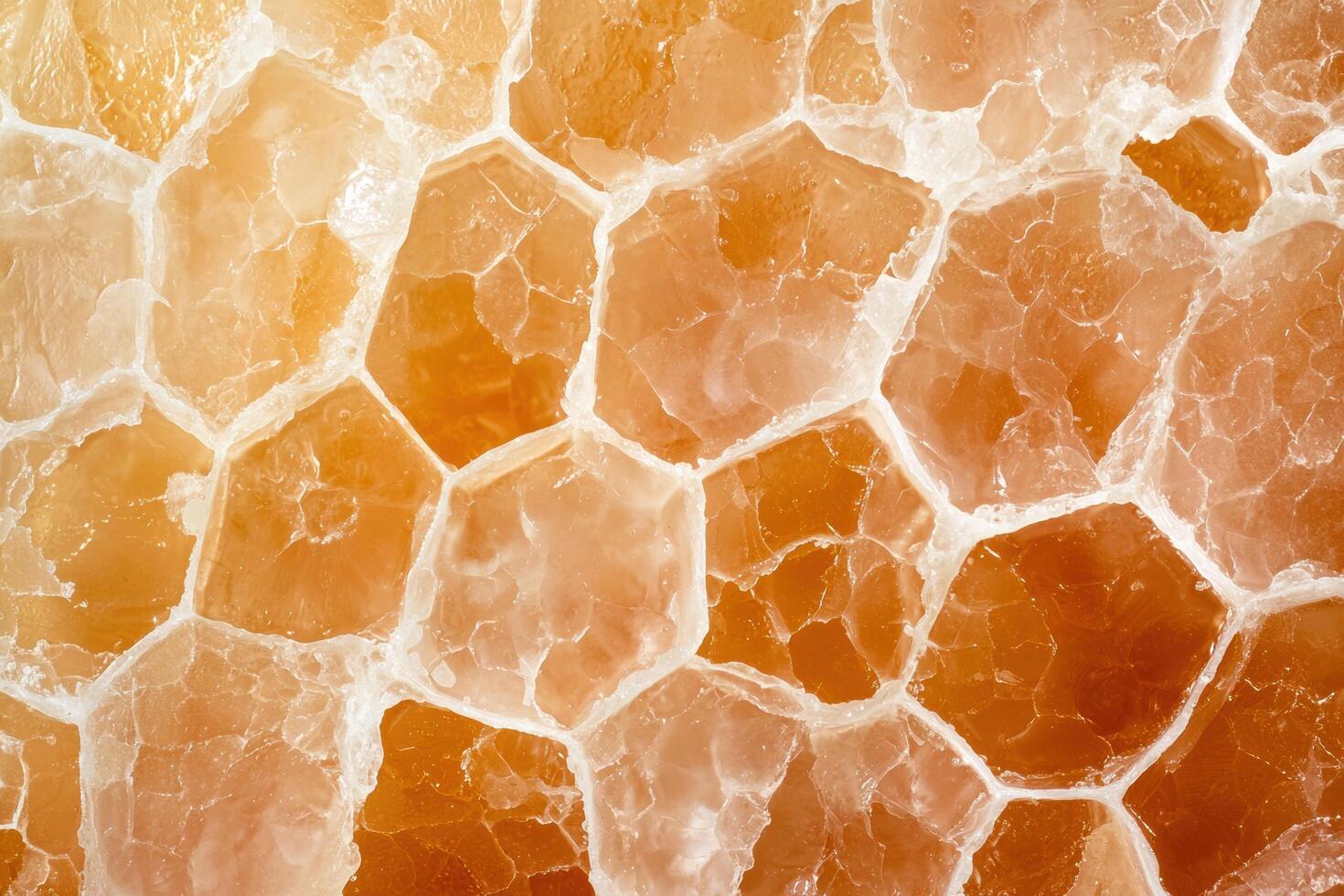 Closeup view of natural honeycomb structure photo