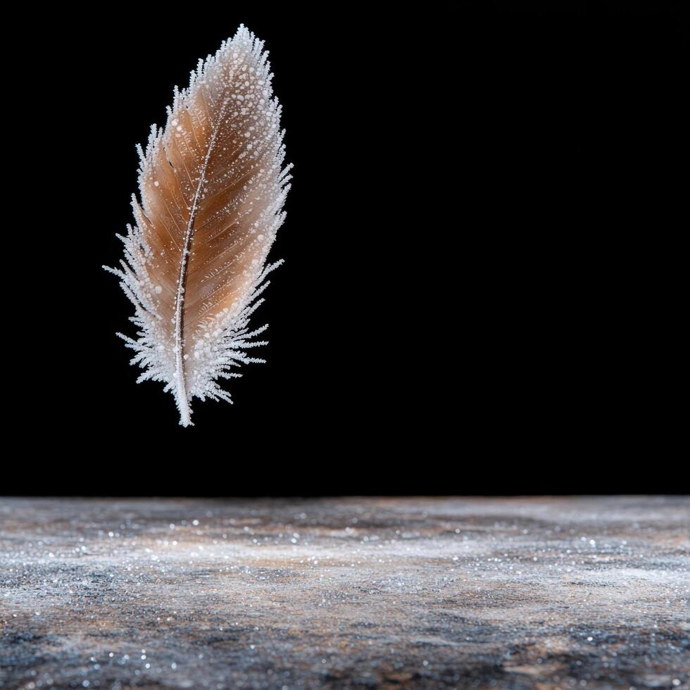 Frozen feather on icy surface photo