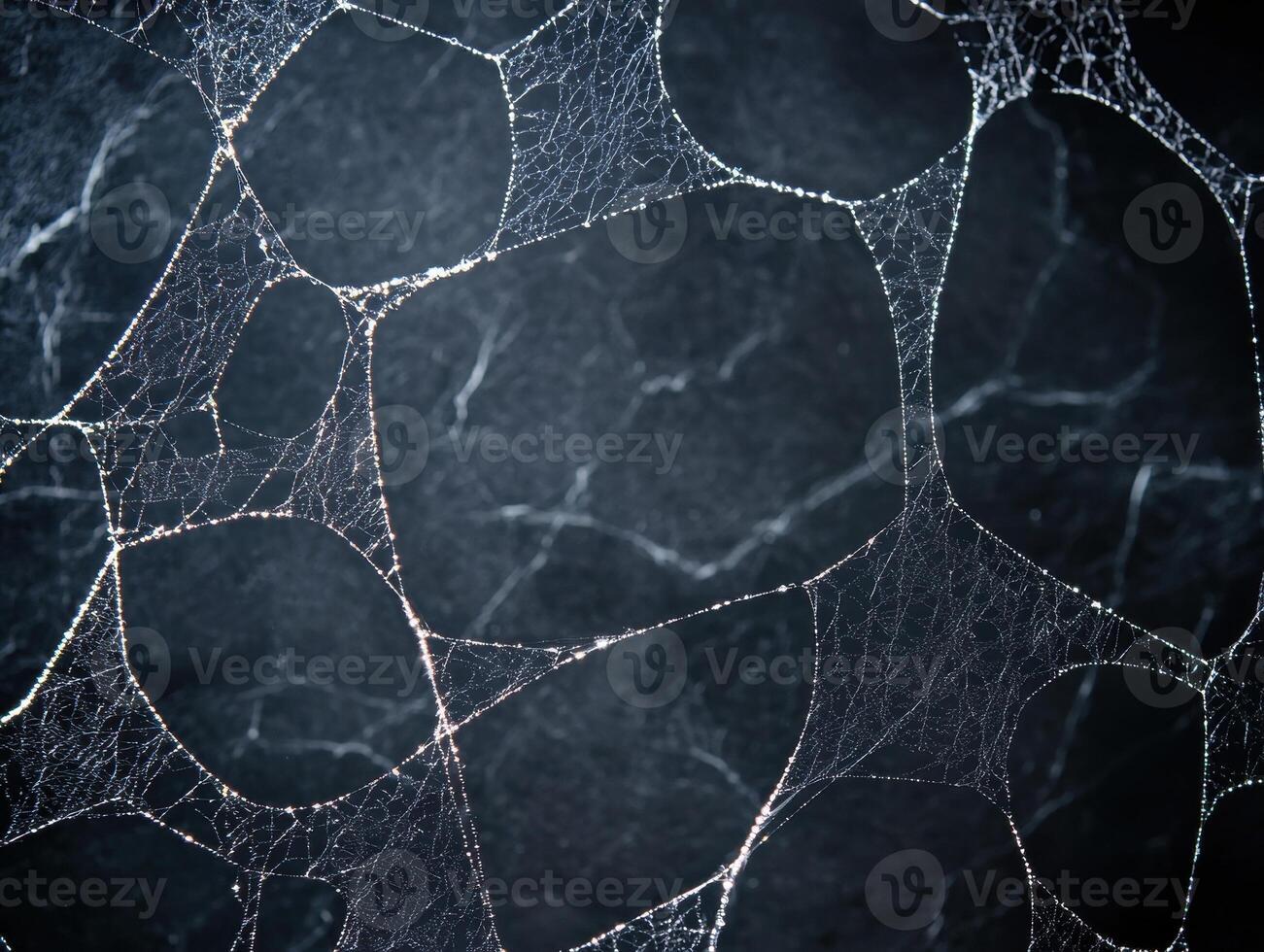 Intricate spider web pattern photo