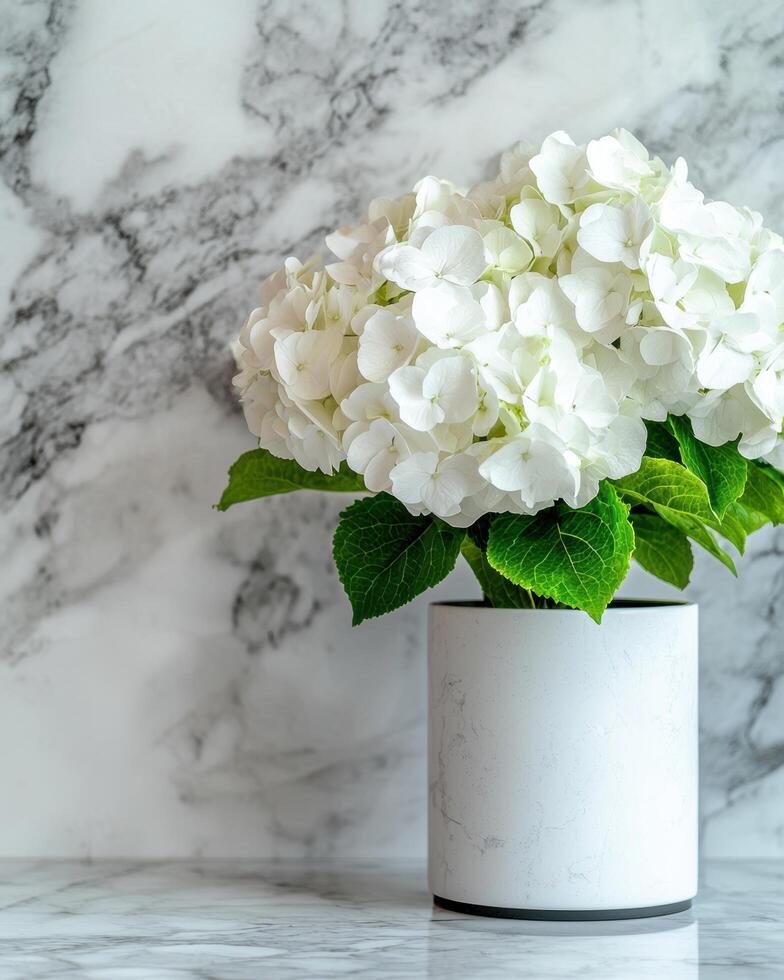 white hydrangea flowers in a marble vase photo