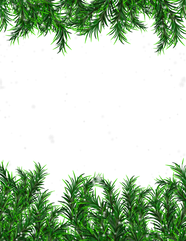 Pine leaves border frame background png