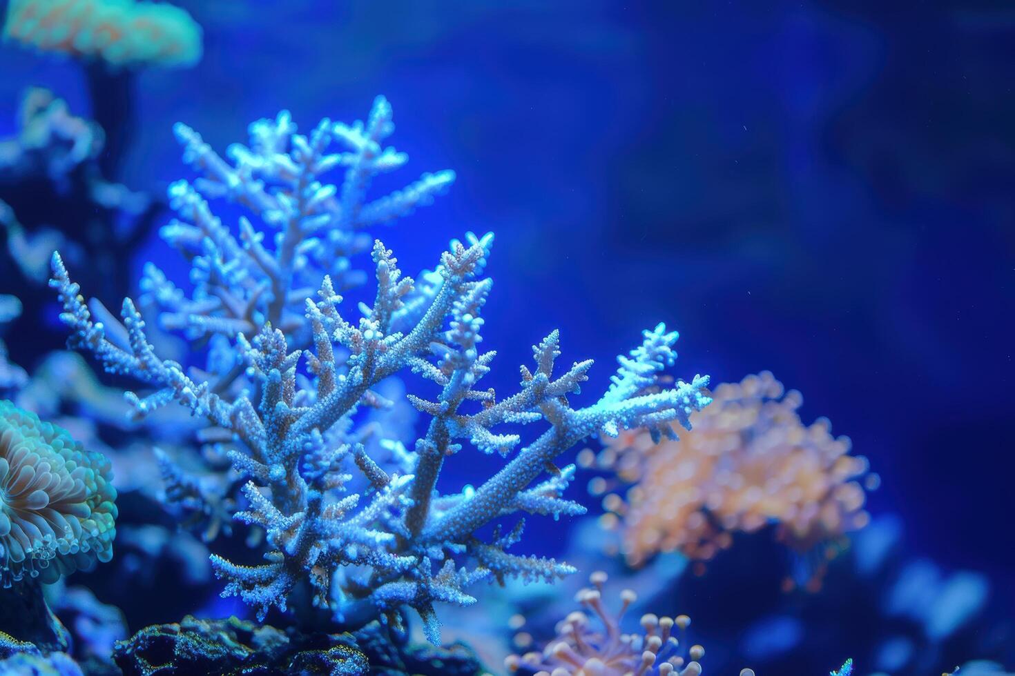 Vibrant blue coral reef underwater scene photo