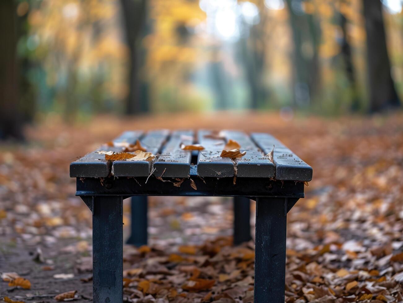 Weathered wooden bench in autumn forest photo
