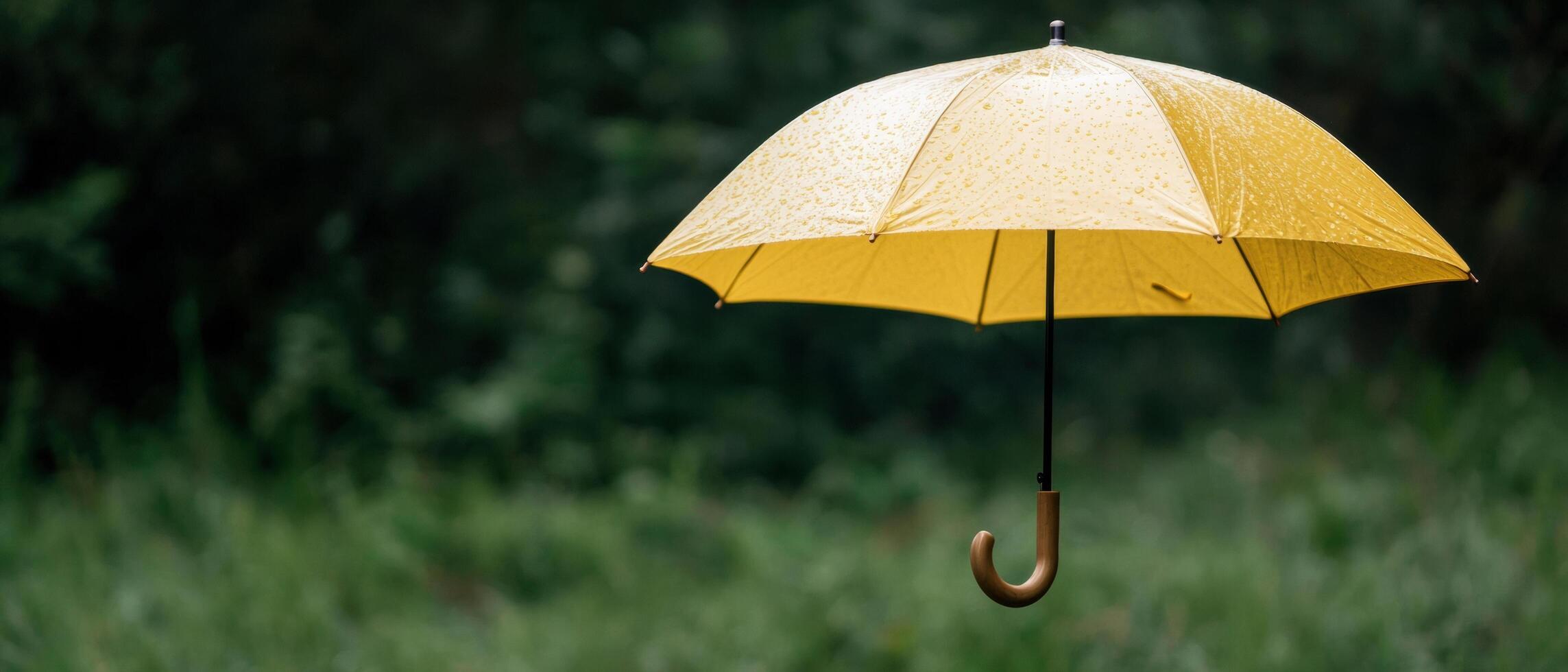 Bright yellow umbrella in rainy forest photo