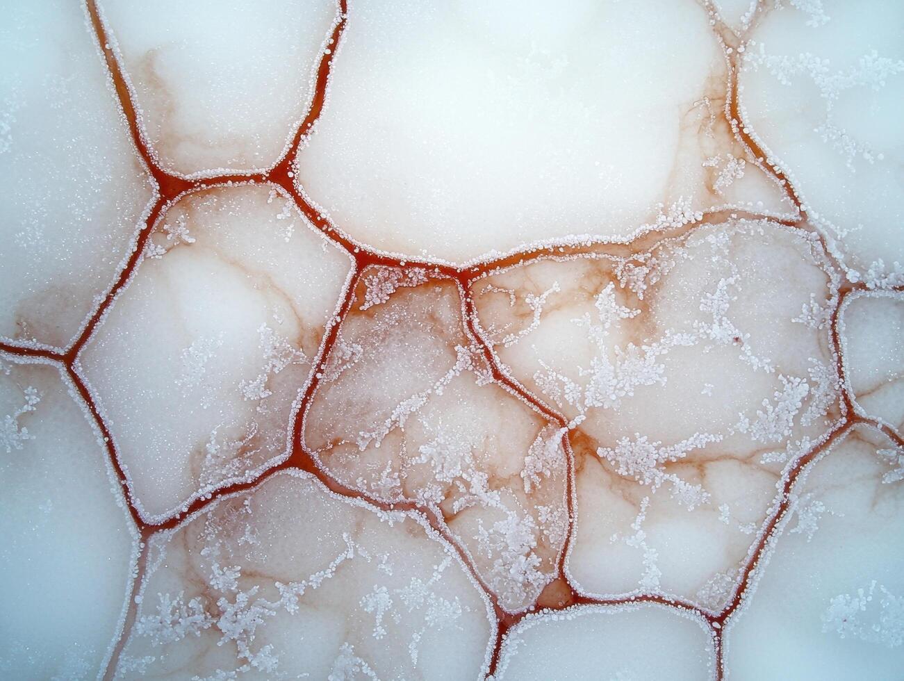Intricate patterns of ice crystals photo