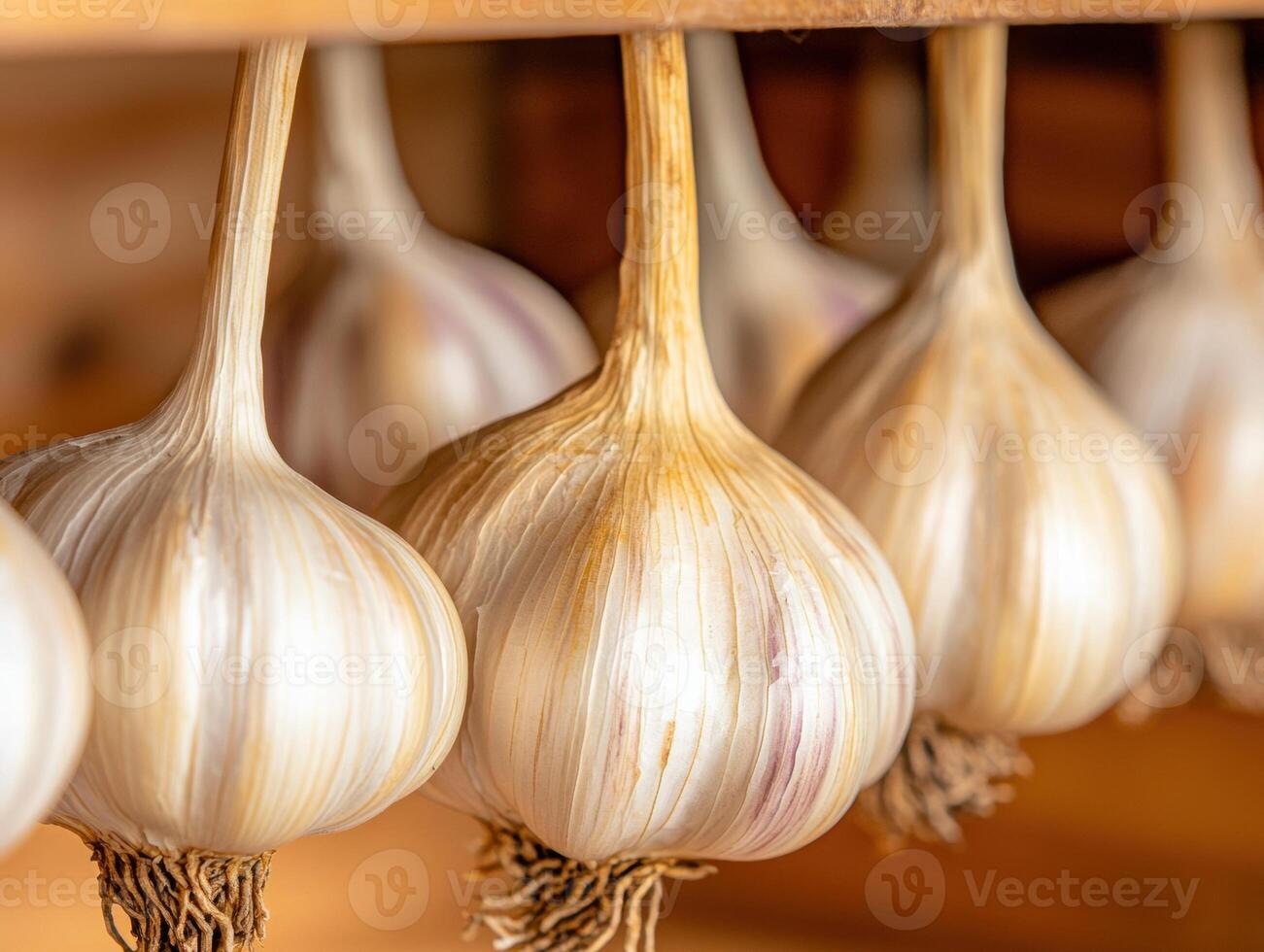 Closeup of fresh garlic bulbs photo
