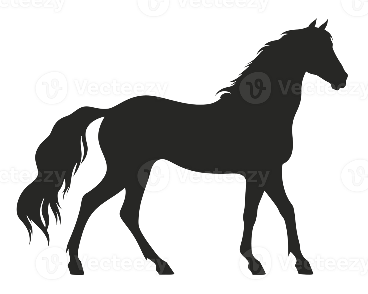 Horse silhouette isolated on transparent background png