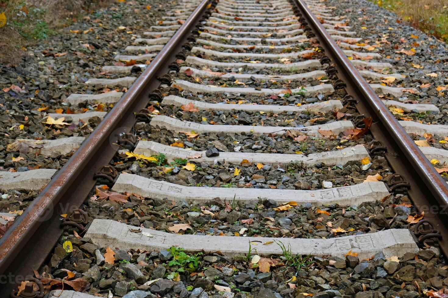 View of Railroad tracks stretching into the distance. Rails and sleepers are covered in rust and partially hidden by fallen leaves. Low viewpoint, industrial style. Blurred background photo