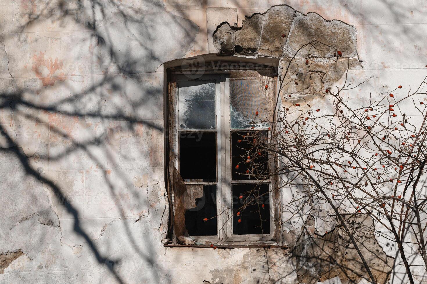 Abandoned building with a broken window surrounded by tangled branches in late autumn light photo