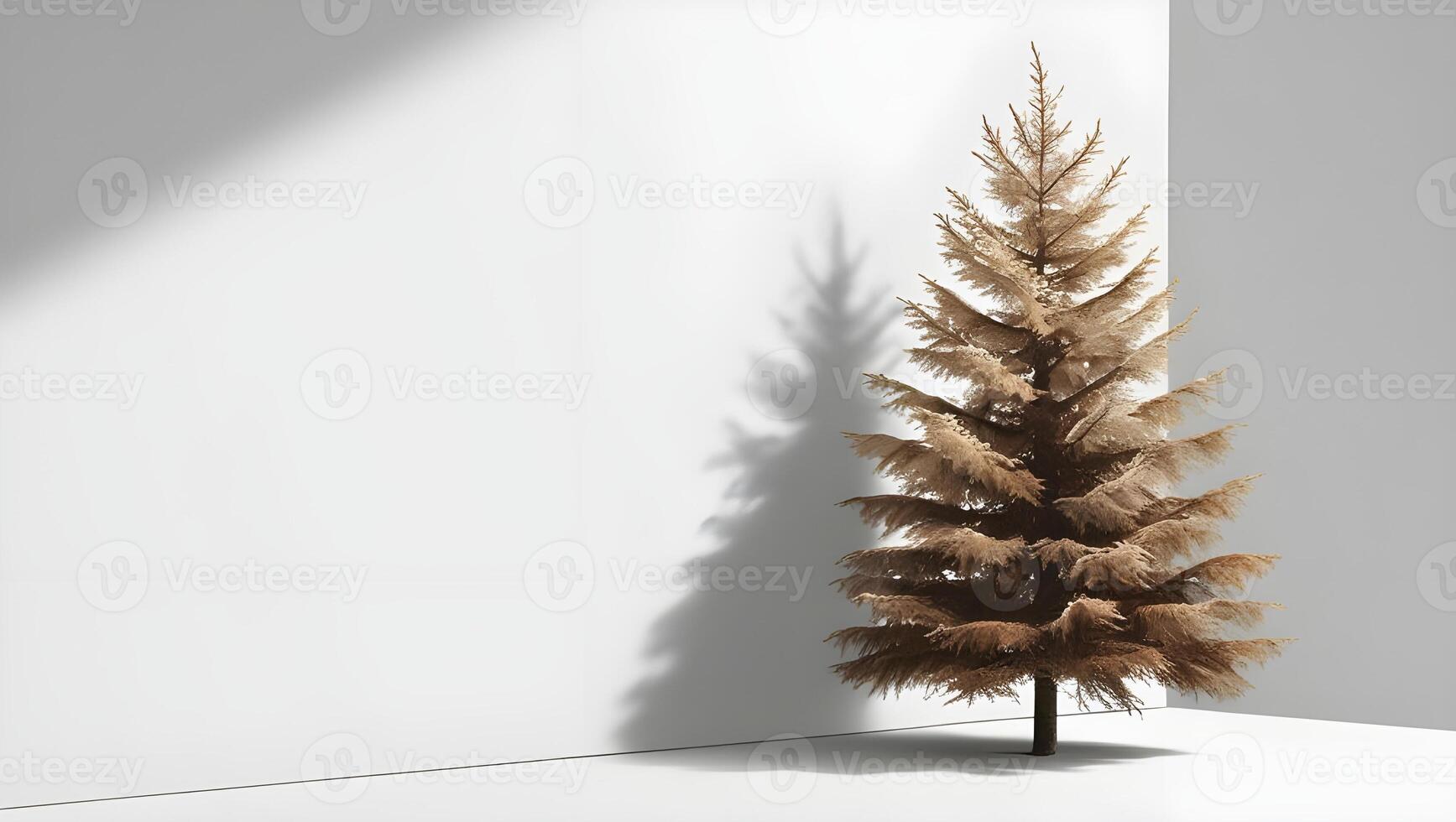 Old cypress tree on isolated white background for your event or wallpaper photo