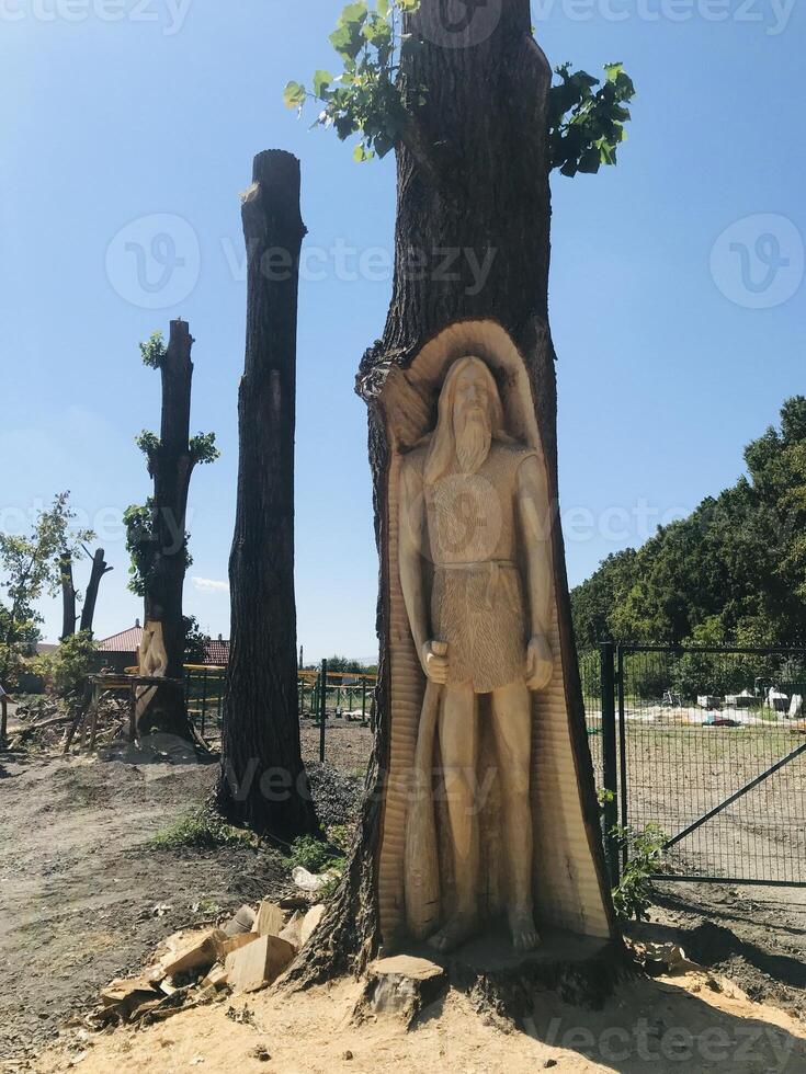 Intricate wooden tree carvings in outdoor natural setting photo