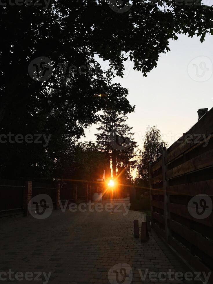 Sunset view through trees and fences on a quiet street photo
