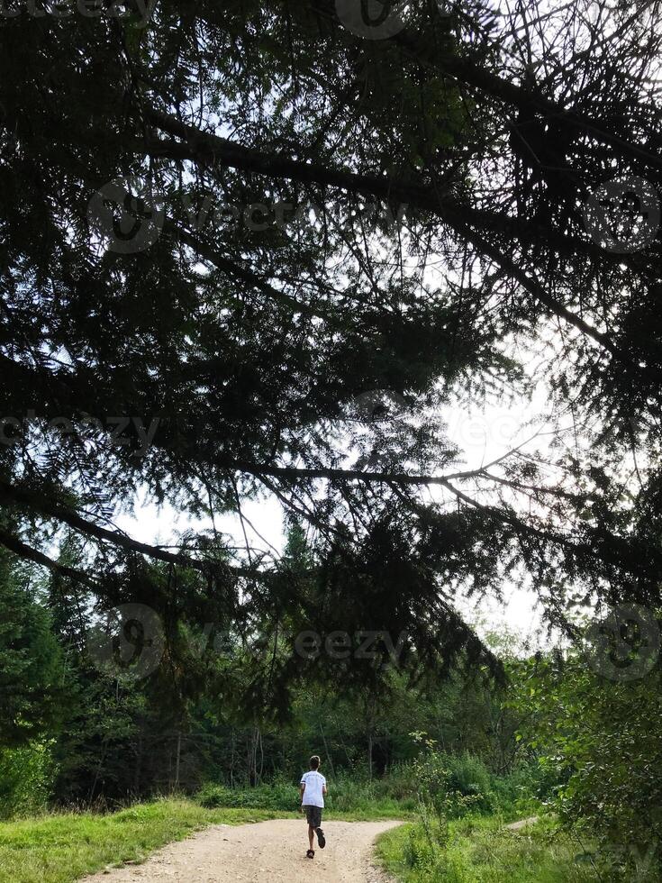 A person running on a forest trail beneath tall trees photo